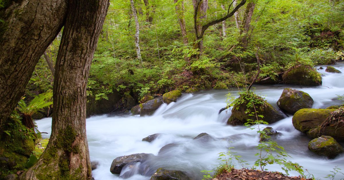 Scaled Agile Marketing Flow with Kanban